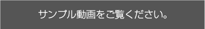 サンプル動画をご覧ください